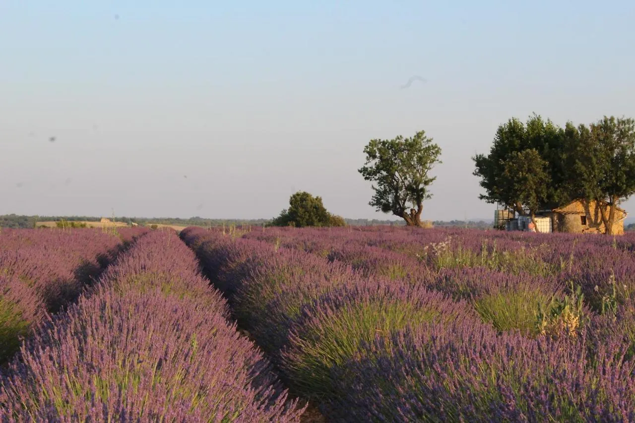 Le Mas Du Colombier Cadenet France