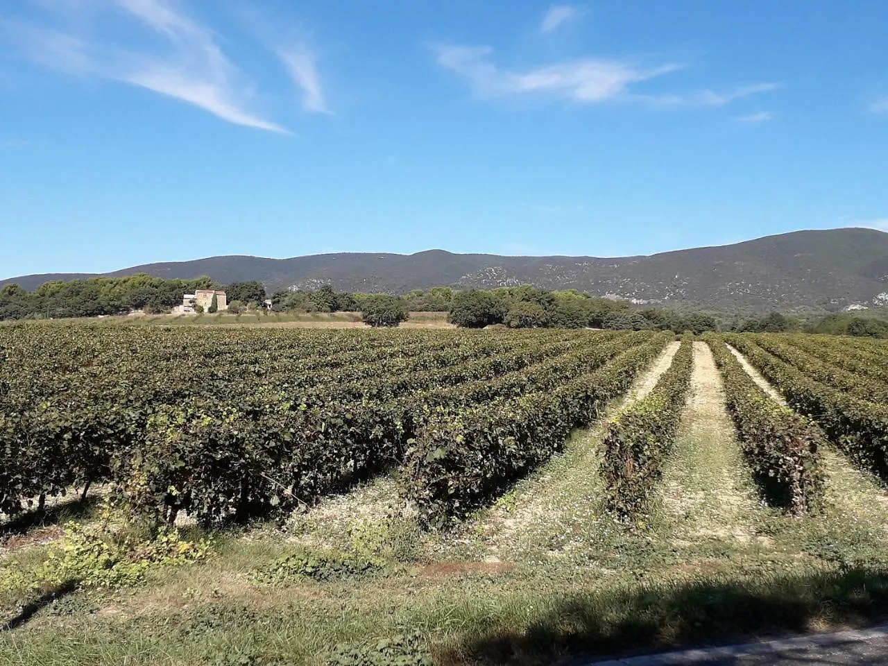 Le Mas Du Colombier Cadenet France